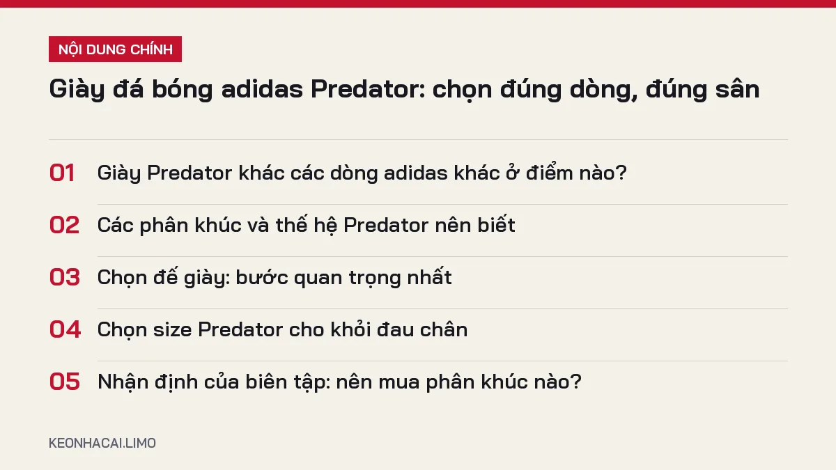 Tóm tắt nội dung giày đá bóng adidas predator, 5 ý chính cần biết